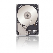 Seagate Savvio 10K.6 300 GB 10000RPM SAS 6-GBS 64MB Cache 2.5-Inch Internal Bare Drive with Encryption or OEM Drives (ST300MM0026)